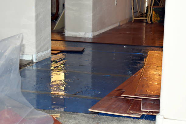 Professional Burst Pipe Cleanup technician working in Adell, WI